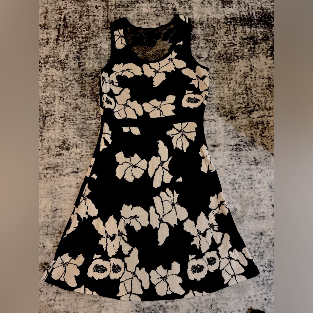 Ann Taylor Petite Fit and Flare Sweater Dress